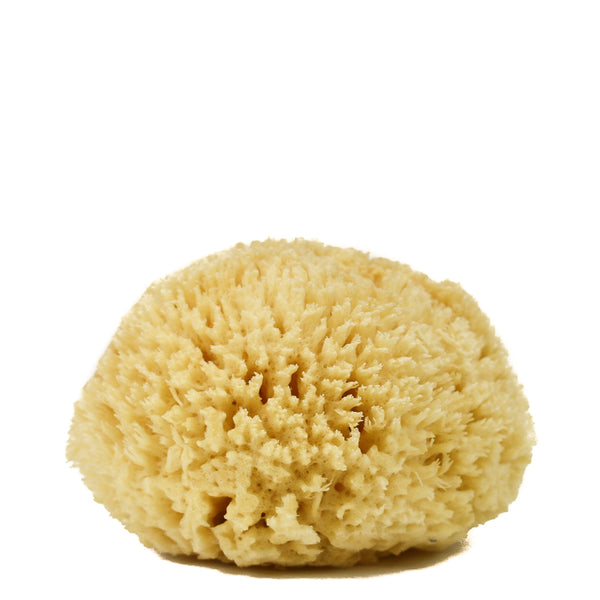 https://www.brookfarmgeneralstore.com/cdn/shop/products/Wool-Sea-Sponge-6.jpg?v=1572991385&width=600